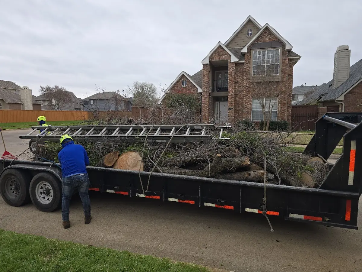 Expert Tree Fertilization with proper safety equipment in Evanston